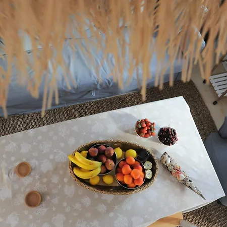 Dandy - Fisherman's Hut - By The Sea