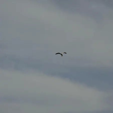 Σπίτι διακοπών Dandy - Fisherman's Hut - By The Sea *